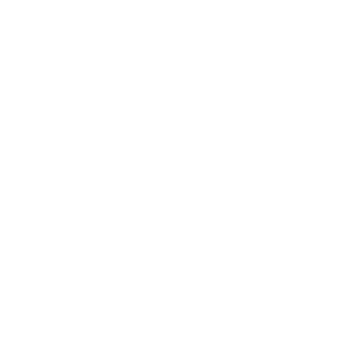 Chrome Logo