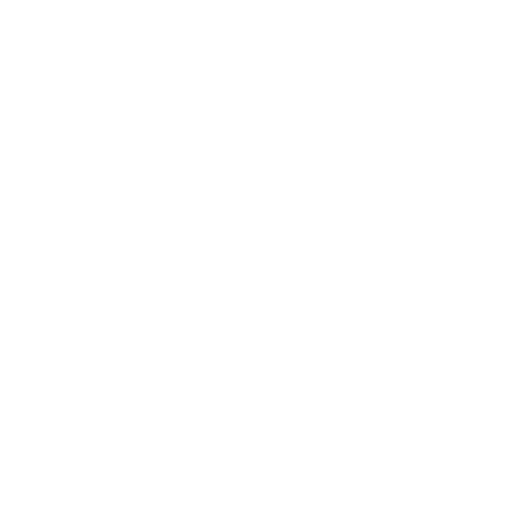 TikTok Icon