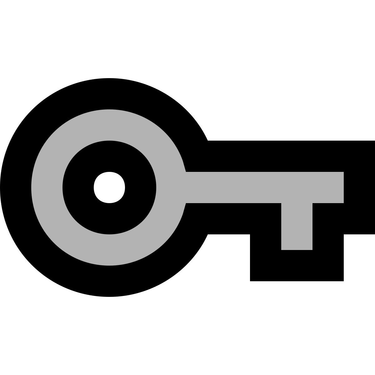 material two tone style schlüssel icon