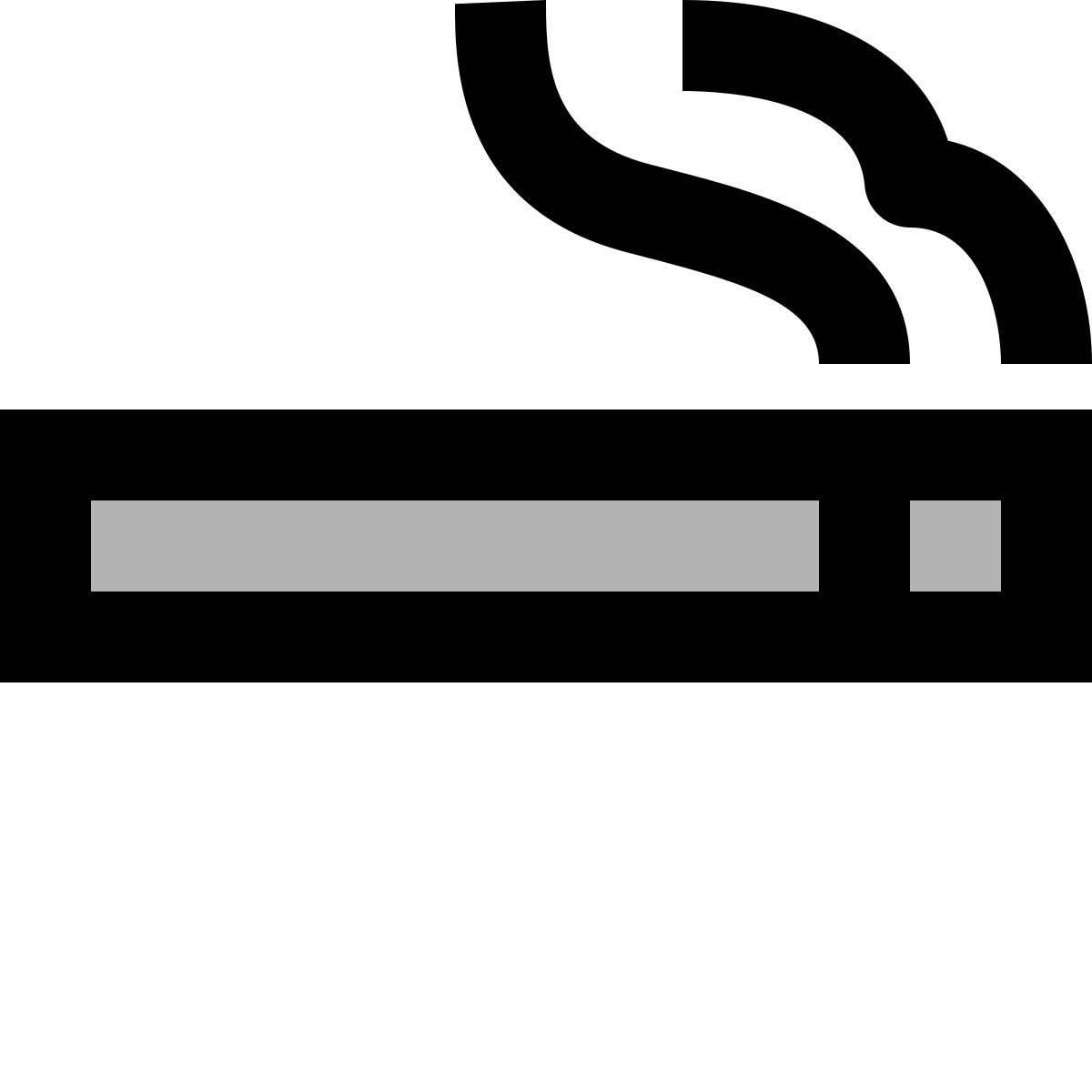 material two tone style rauchen icon