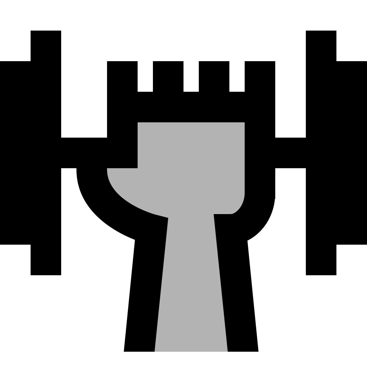 material two tone style strength icon