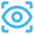 vision