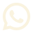 whatsapp--v1