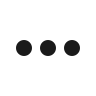 MoreVertical Icon