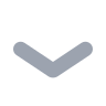 ChevronDown Icon
