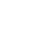 White shield icon