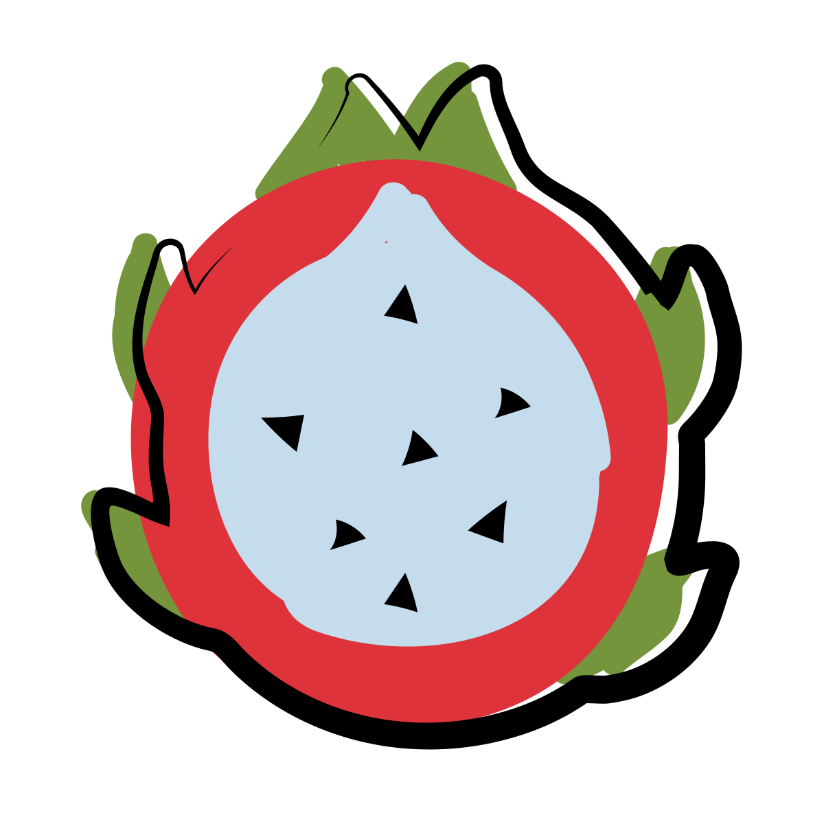 matisse style dragon fruit icon