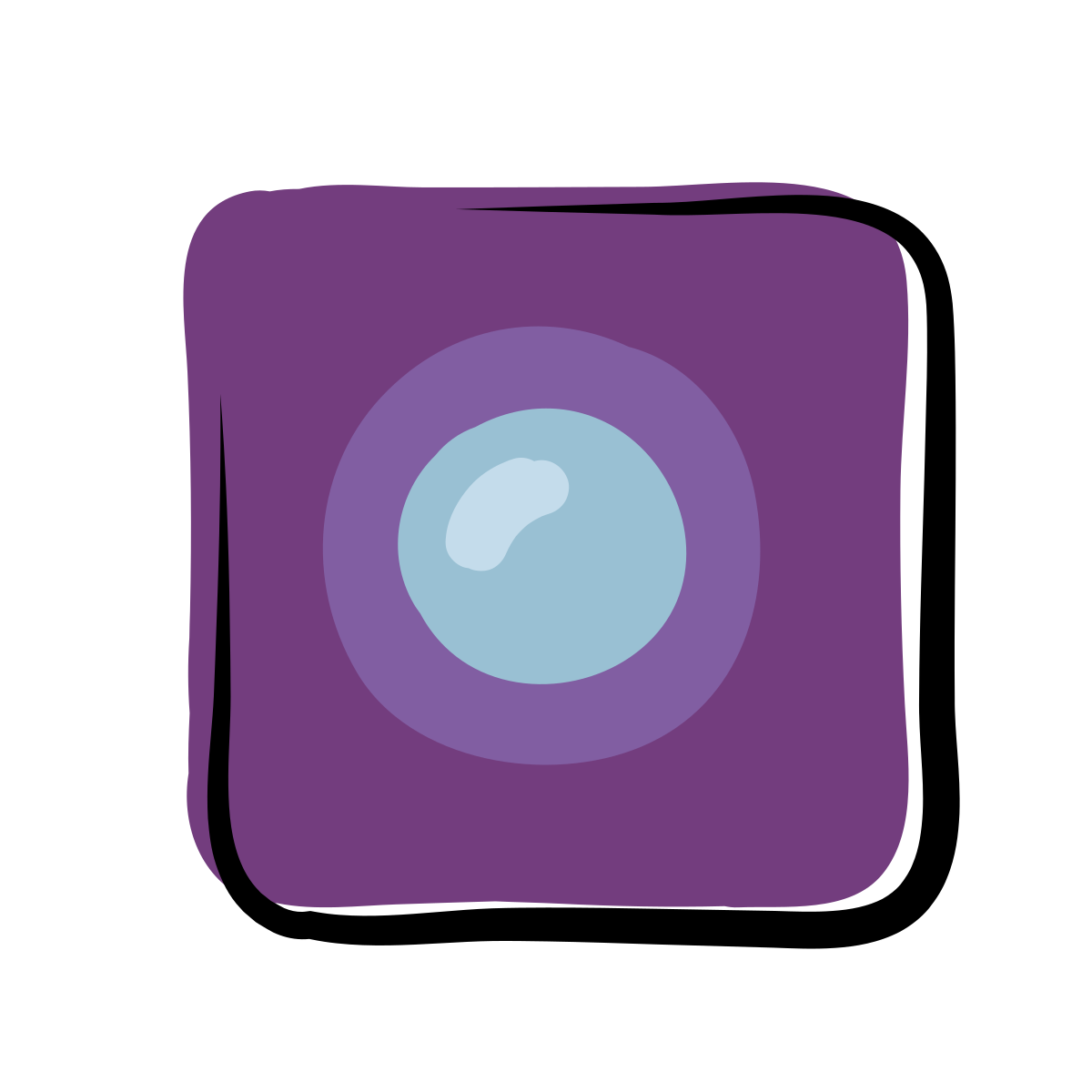 matisse style integrated webcam icon