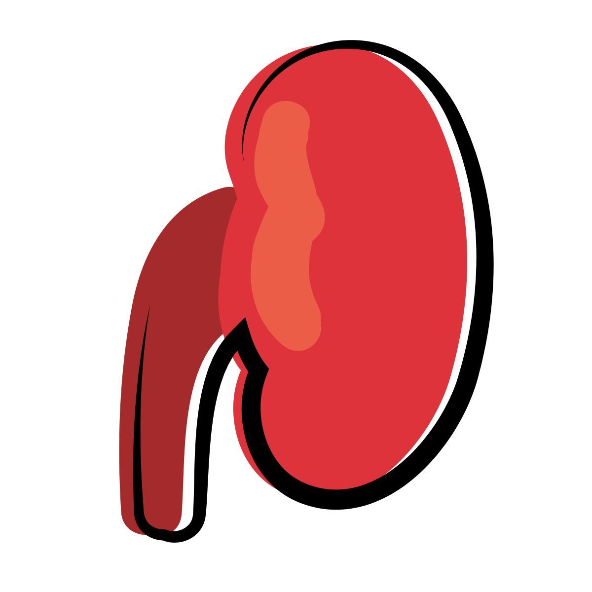 matisse style 신장 icon