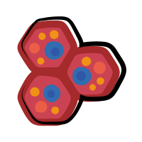 body cells icon