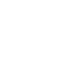 Amir Capital