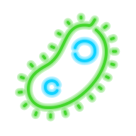 bacteria icon