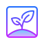 Apple Seed icon