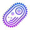 bacteria