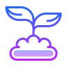 sprout
