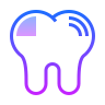 tooth