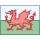 Galles icon