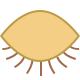Closed Eye icon