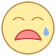 crying -v2 icon