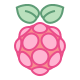 Raspberry pi Icons – Free Vector Download, PNG, SVG, GIF