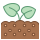 soil
