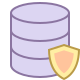 Data Protection