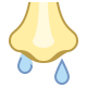 Runny Nose icon