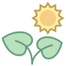 Plant Care