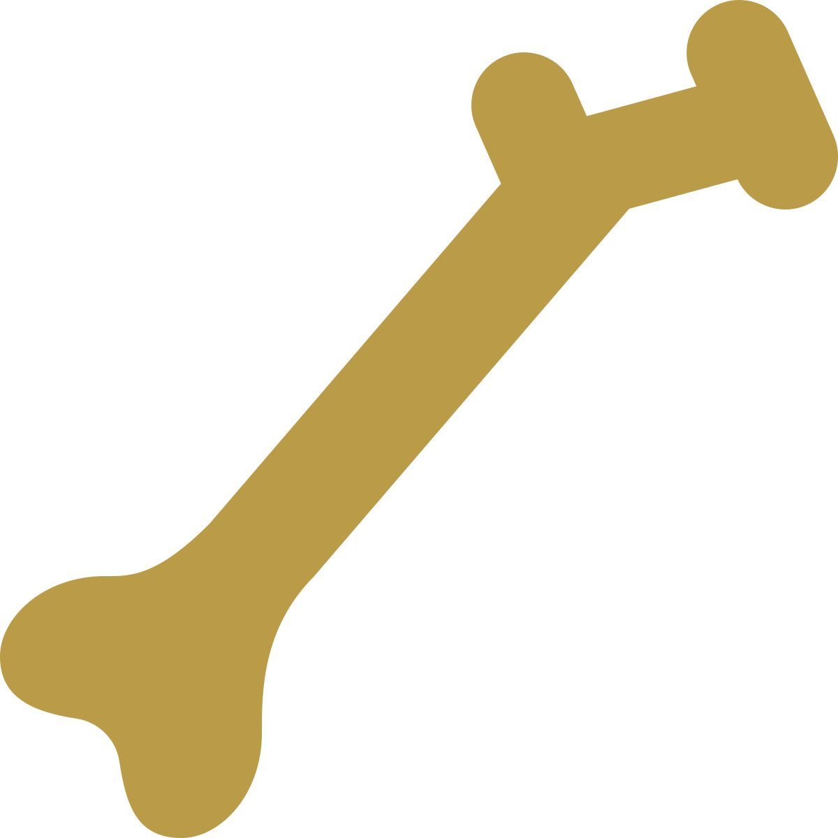 office xs style human bone icon