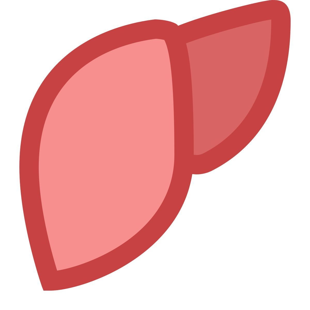 office xs style liver icon