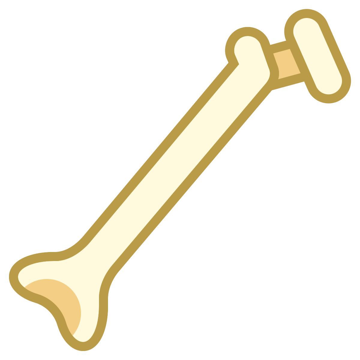office m style human bone icon