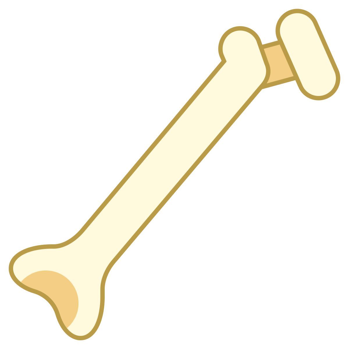 office l style human bone icon