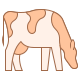 Cow Breed icon
