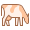 Cow Breed icon