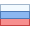 russian federation icon