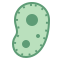 bacteria icon