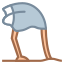 Ostrich Head in Sand icon