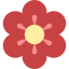 Spring icon