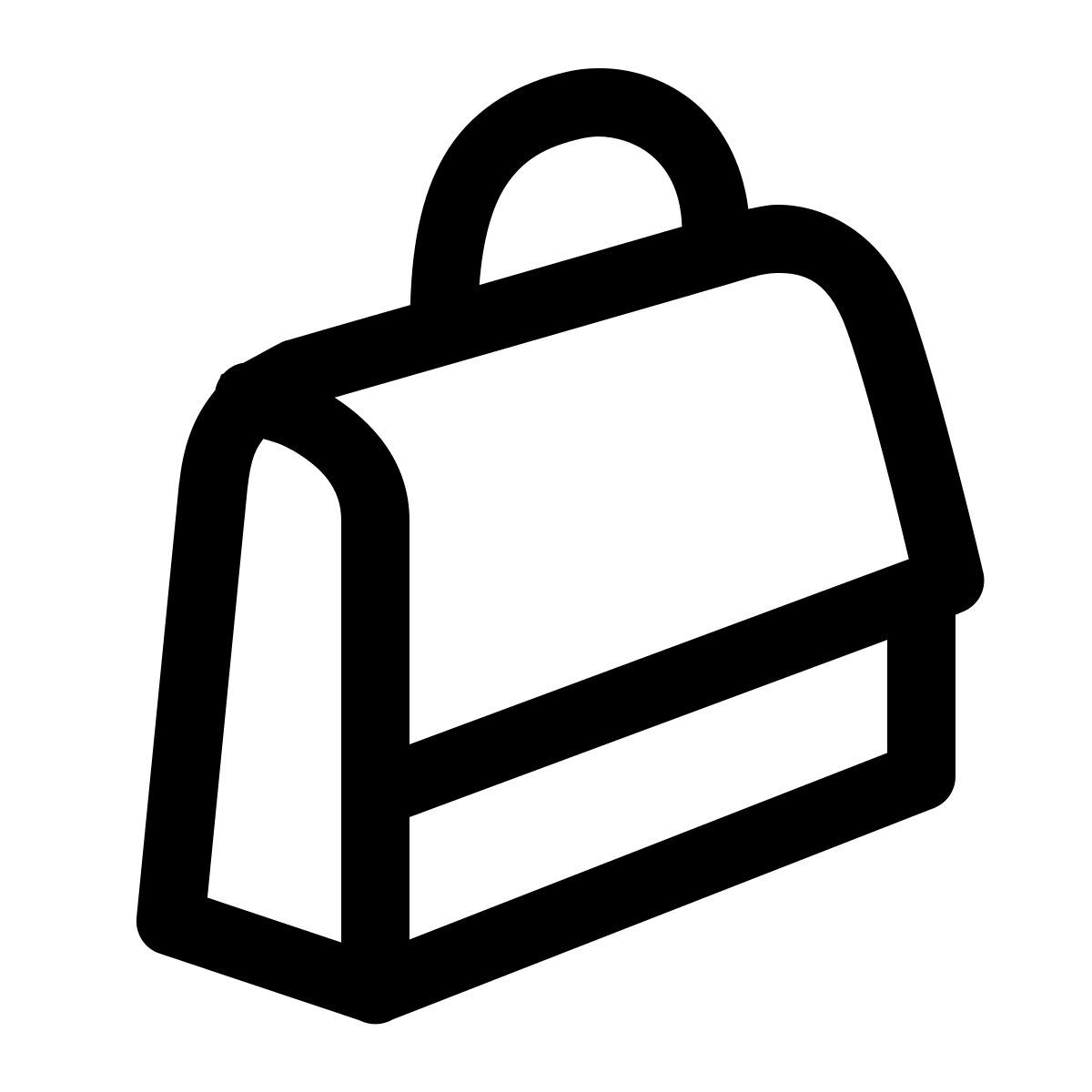 simple small style 包斜跨查看 icon