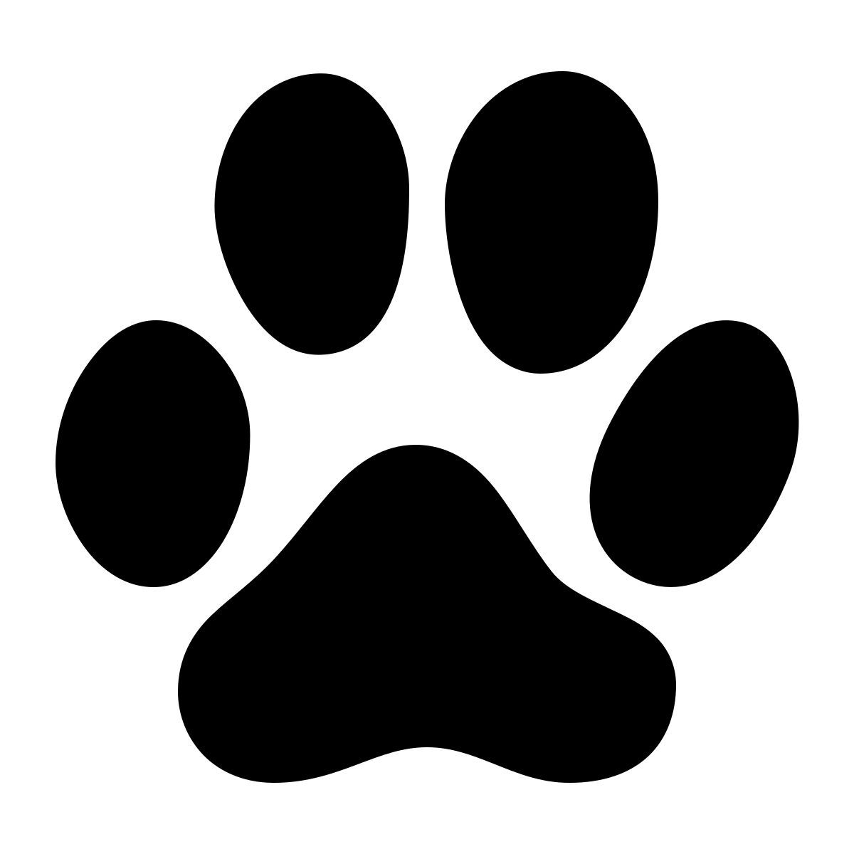 parakeet filled style orma del gatto icon
