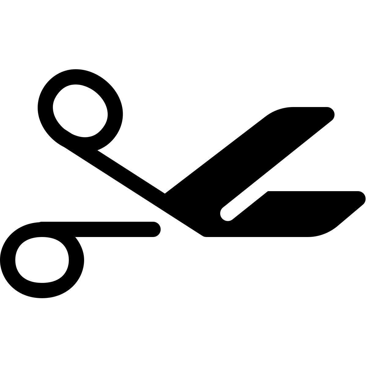 parakeet filled style 外科剪刀 icon