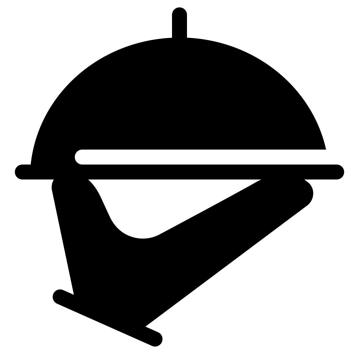 parakeet filled style serveur icon