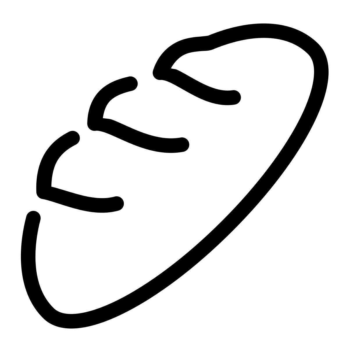 parakeet line style pan icon