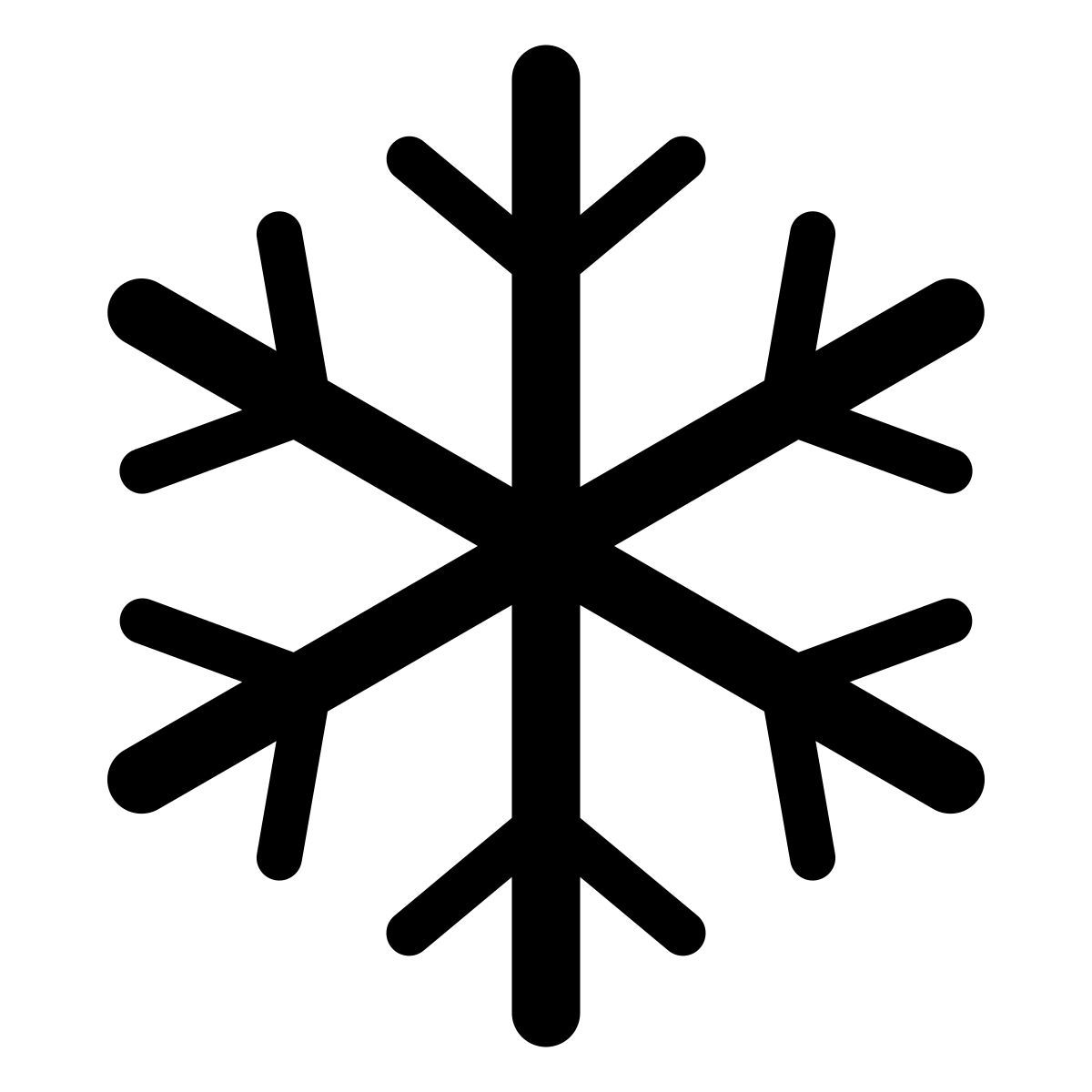 parakeet partial filled style winter icon