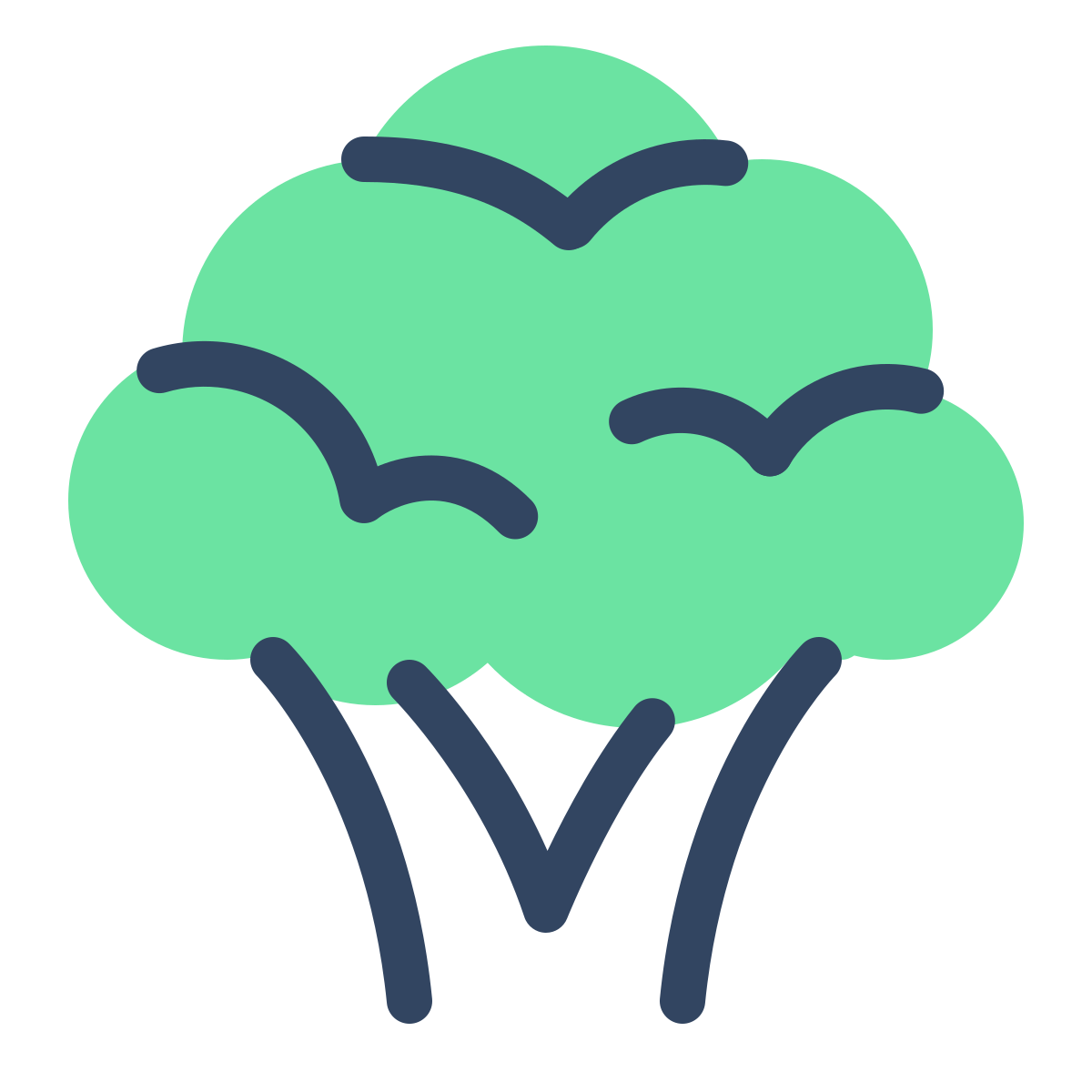 parakeet color style broccoli icon