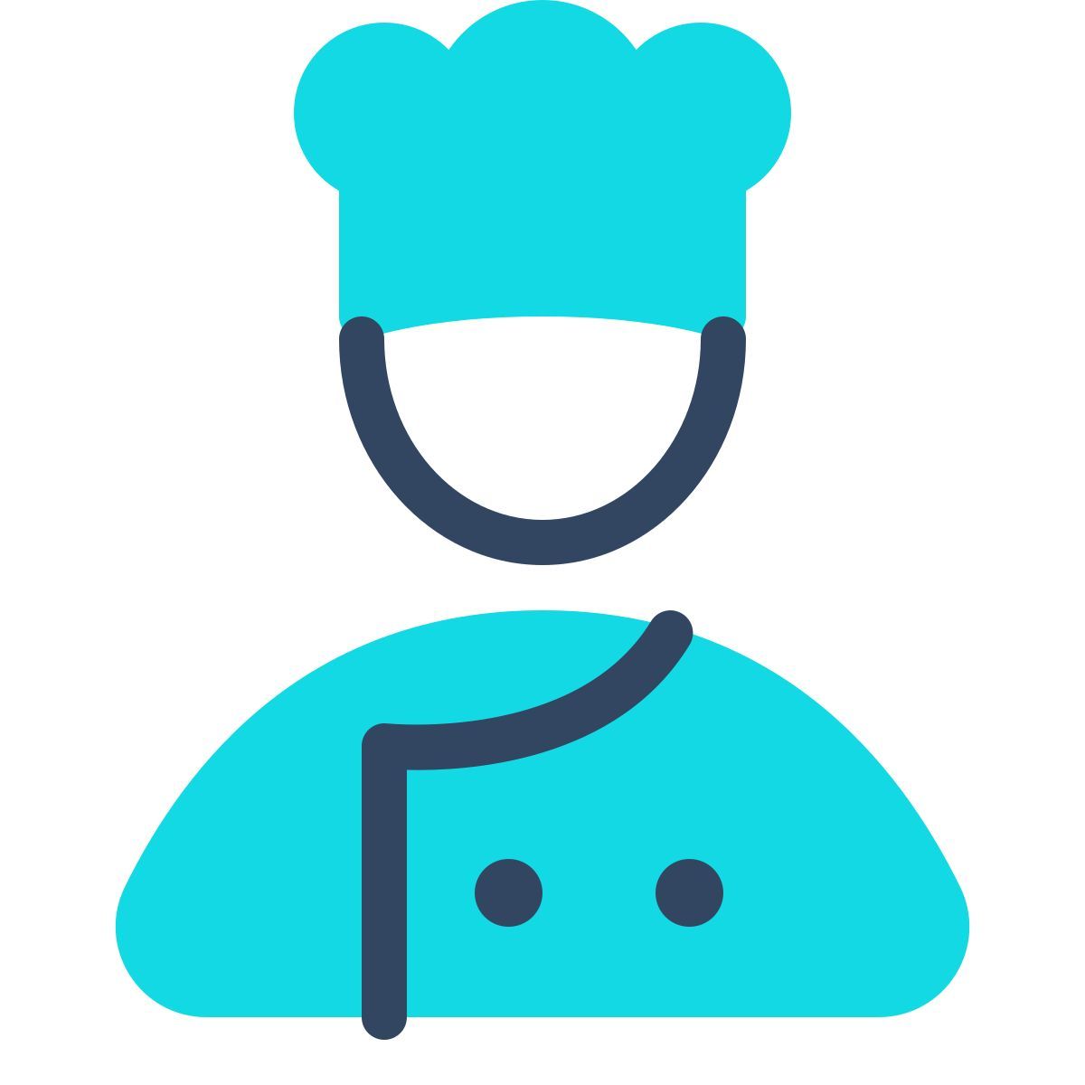 parakeet color style chef icon