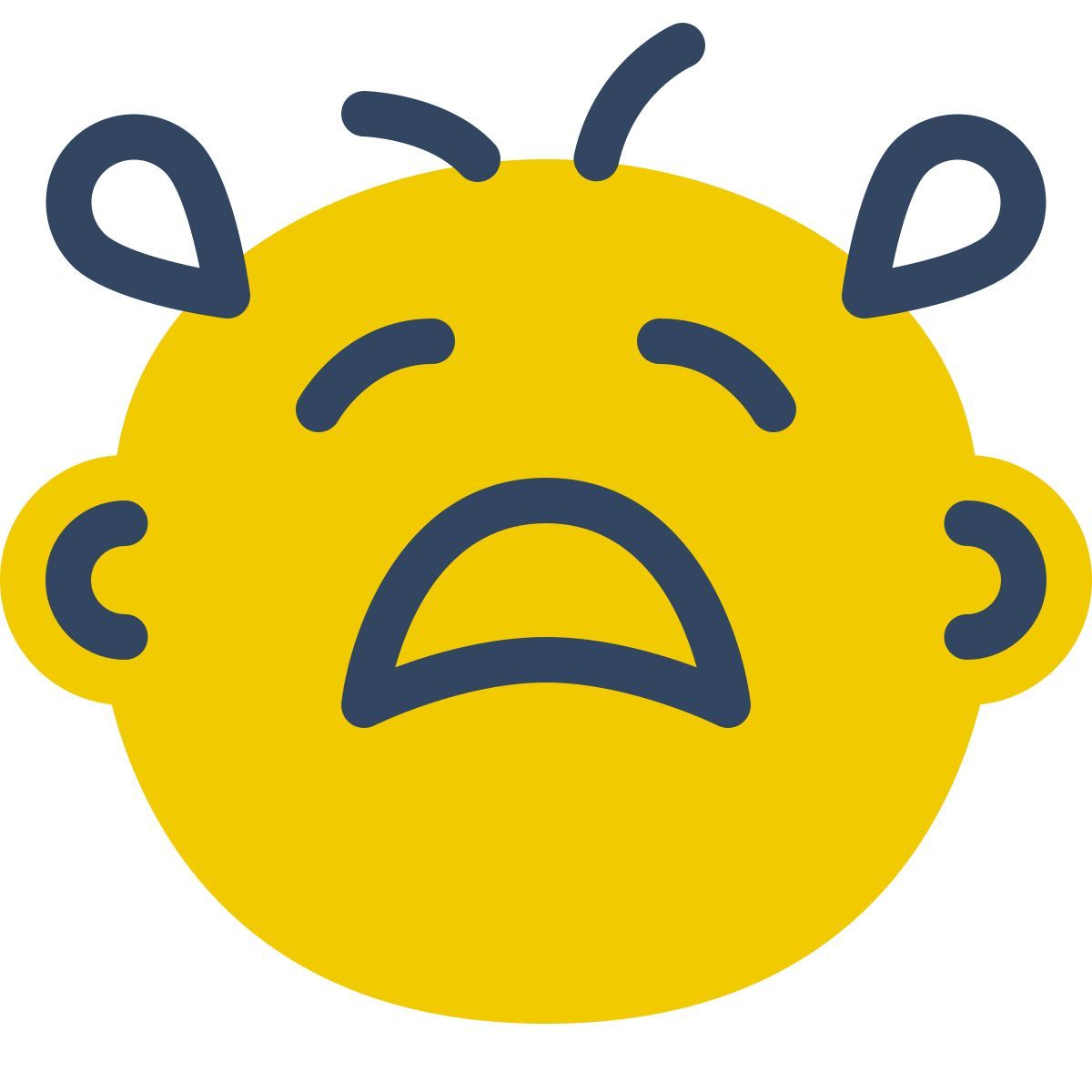 parakeet color style 哭泣的婴儿 icon