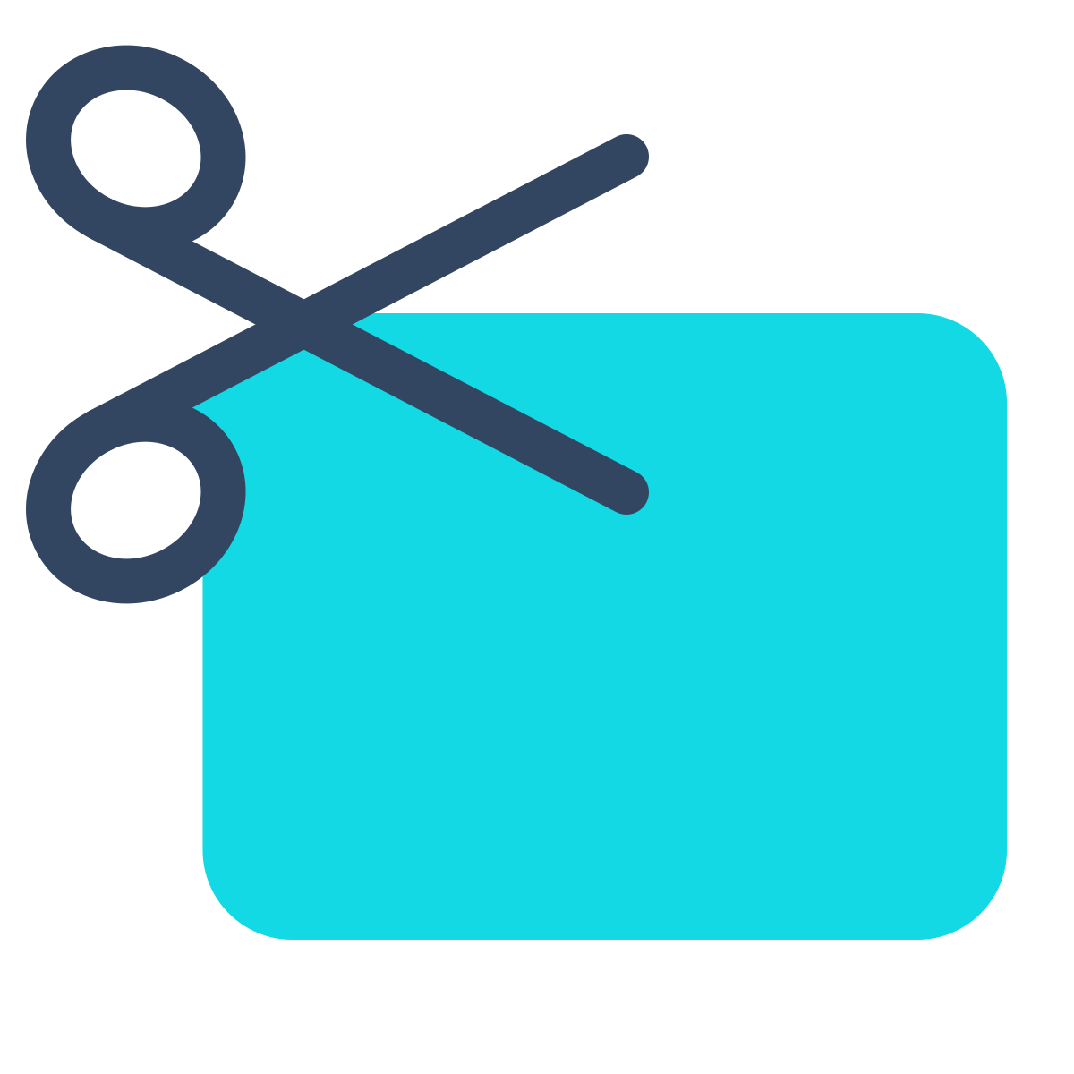 parakeet color style cutting coupon icon