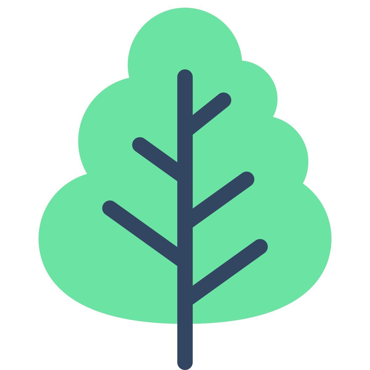 parakeet color style 낙 엽 나무 icon