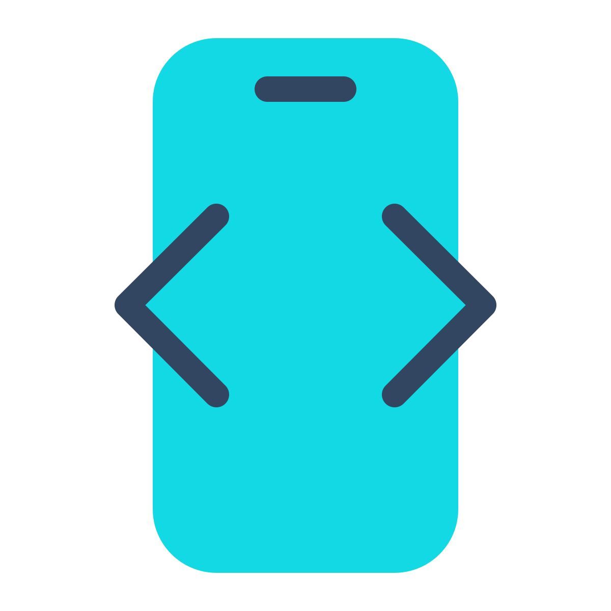 parakeet color style developer mode icon
